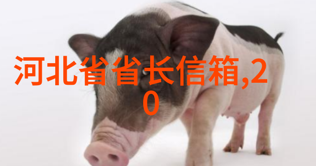 关于印发打击保健食品四非专项行动工作实施方案的通知(苏食药监办2013134号)
