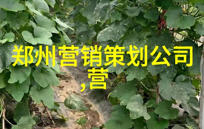 麦当劳网络社交营销诀窍